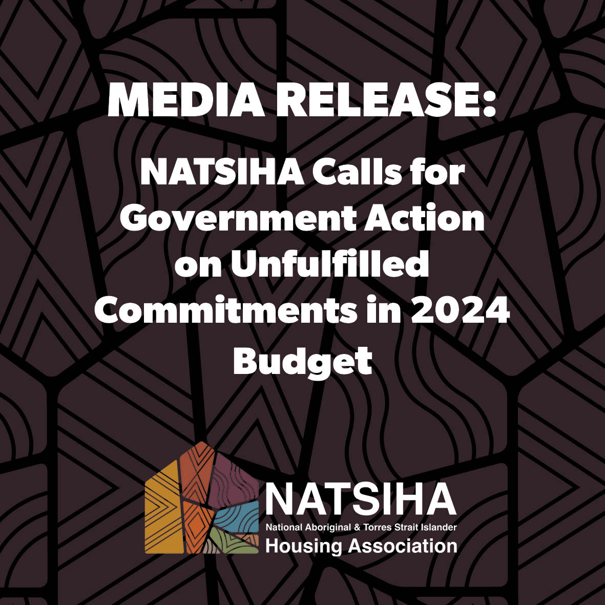 NATSIHA Calls for Government Action on Unfulfilled Commitments in 2024 Budget